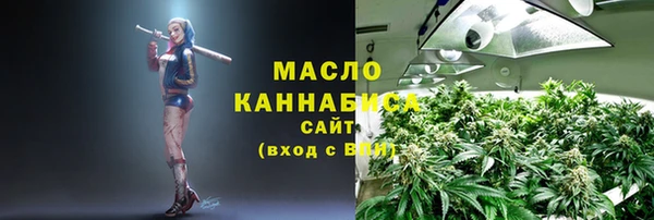 МДПВ Вяземский