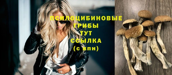 гидропоника Вязники