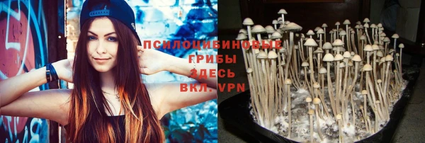 трава Вязьма