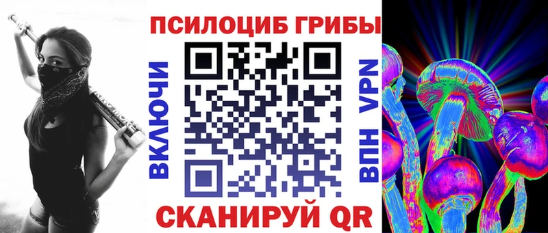 Купить где Краснокаменск Псилоцибиновые грибы прущие грибы
